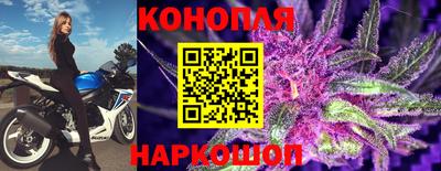 прущие грибы Пугачёв