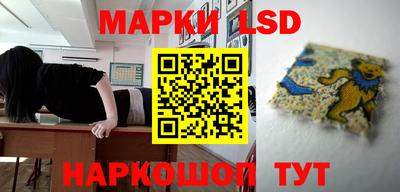 прущие грибы Пугачёв